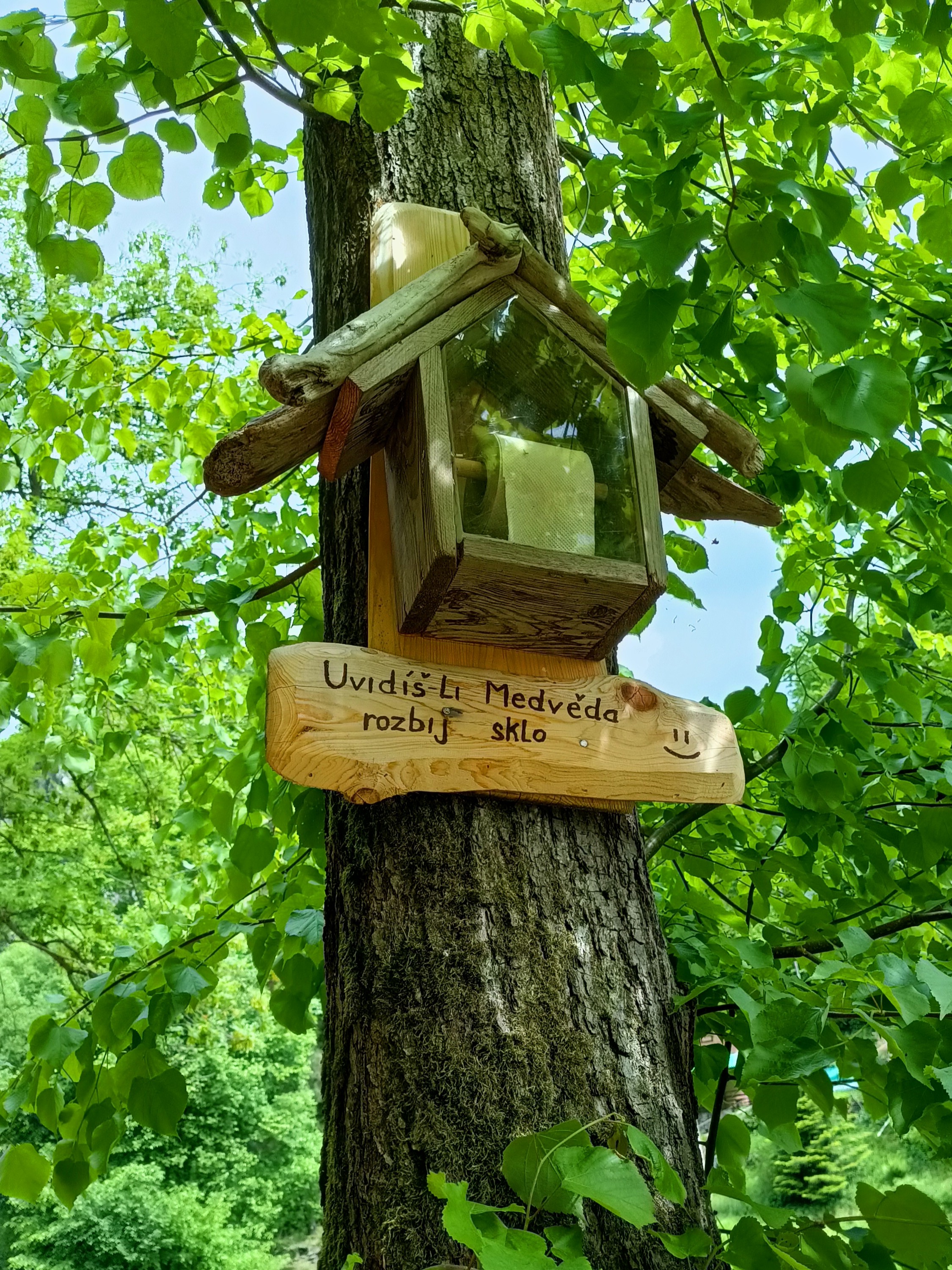 Stanice první pomoci při střetu s medvědem